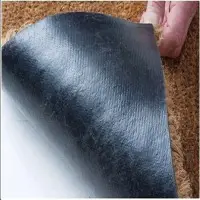 Pvc Backed Coir Door Mat
