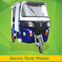 Electric Three Wheeler Custom Made
