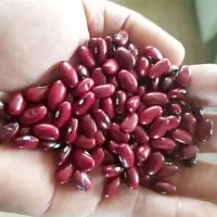 Red Beans