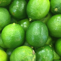 Lime