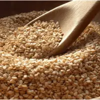 Raw Natural Sesame Seeds