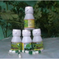 Moringa Powder Capsules