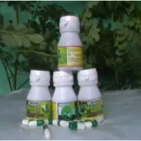 Moringa Powder Capsules