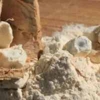 Baobab Powder