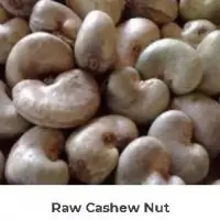 Cashew Nuts