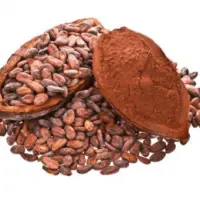 Cocoa Powder