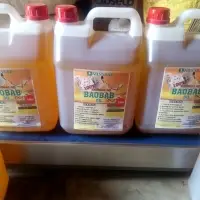Baobab Body Oil