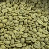 Green Coffee Beans