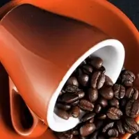 Kenya Coffee