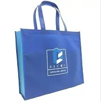 Custom Made 80gsm PP Non Woven Bag
