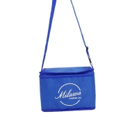 Cooler Bag