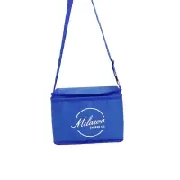 Cooler Bag