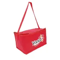 Cooler Bag