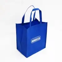 Non Woven Bag