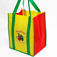 Non Woven Bag