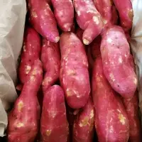 Fres Sweet Potatoes