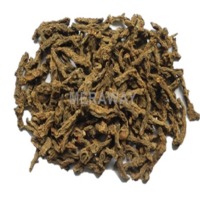 Dry Raw Turmeric