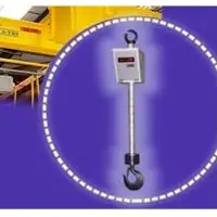Crane scales