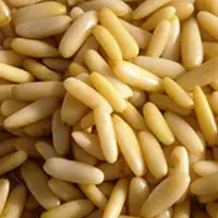 Premium Quality Chilgoza Pine Nuts
