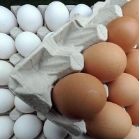 Fresh Chicken Table Eggs Brown And White Shell