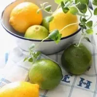 Fresh Lemon