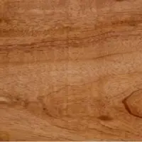 Australia Queensland Wood Logging