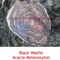 Black Watter Acacia Melanoxylon