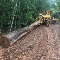 Black Watter Log