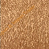 Northern Silky Oak