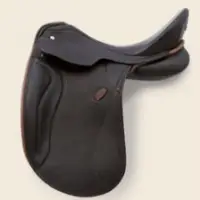 All Purpose Saddles