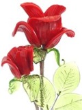 Crystal wired flowers