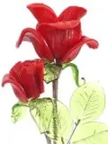 Crystal wired flowers