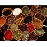 Indian Spices