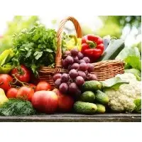 Fresh Vegetables
