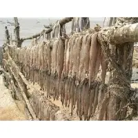Dry Fishes
