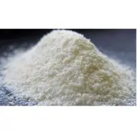 Chitosan Powder