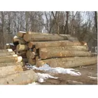 Red oak