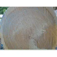 White oak