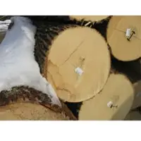 Ash