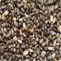 Chia Seed