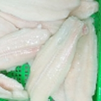 Frozen Pangasius Fillet