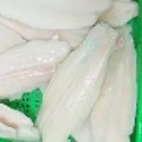 Frozen Pangasius Fillet
