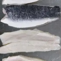 Frozen Snakehead Fish