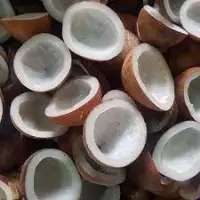 Copra