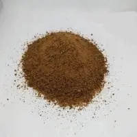 Organic Coconut Palm Sugar Bulk from Indonesia
