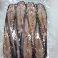 Indonesian Frozen Whole Catfish