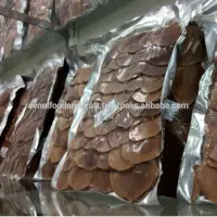 Longjack Powder Root Slices