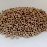 White Pepper Muntok
