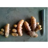 Turmeric Finger