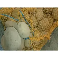 Potato